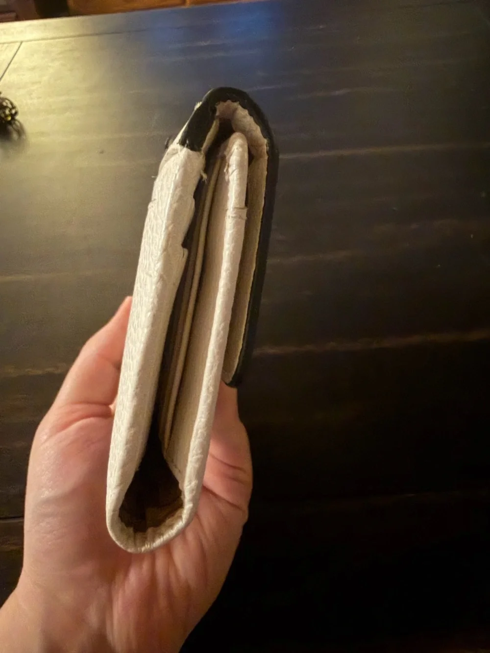 White Lodis Long Wallet
